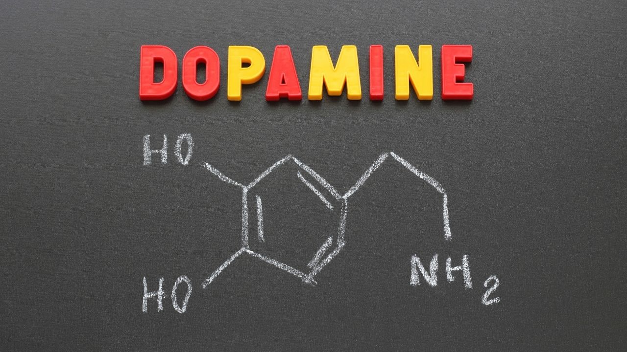 dopamine