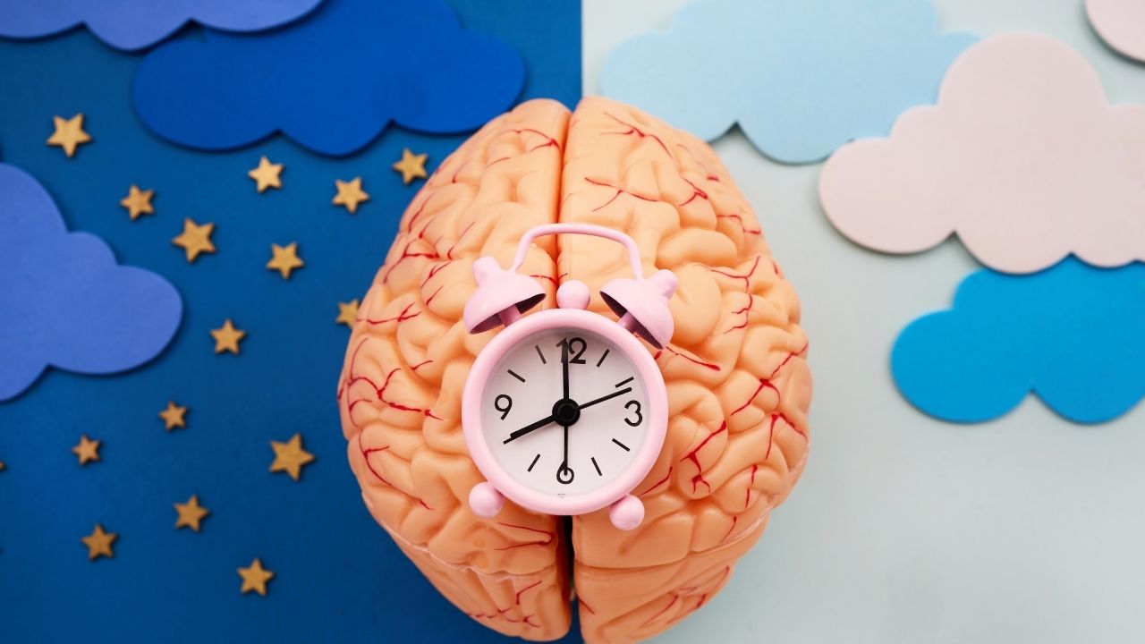 Circadian rhythm